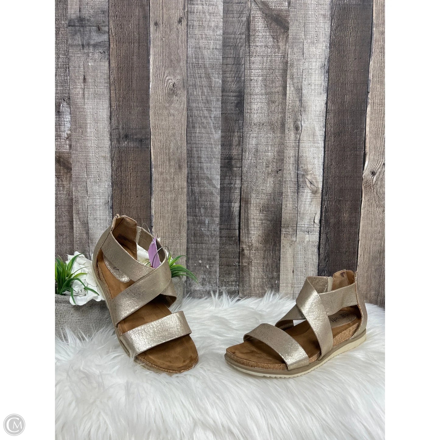 Sandals Flats By Sofft In Gold, Size: 8