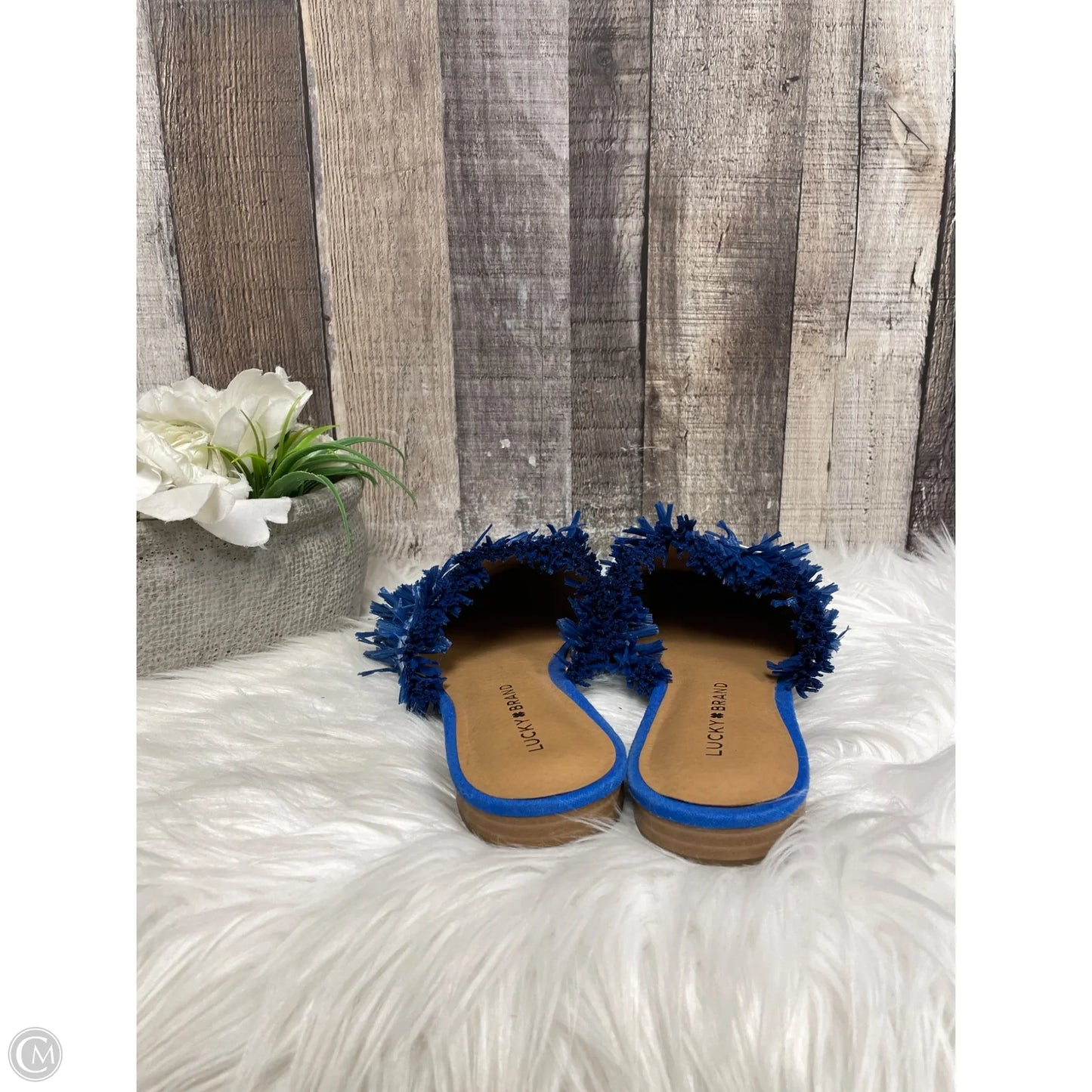 Shoes Flats By Lucky Brand In Blue, Size: 6.5