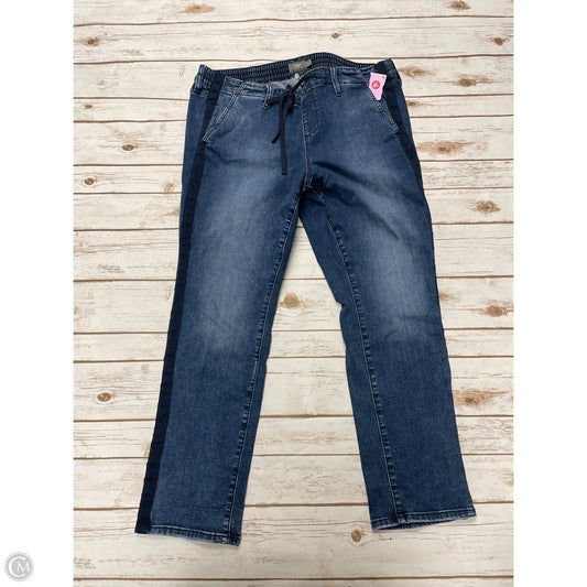 Jeans Straight By Torrid In Blue Denim, Size: 2x
