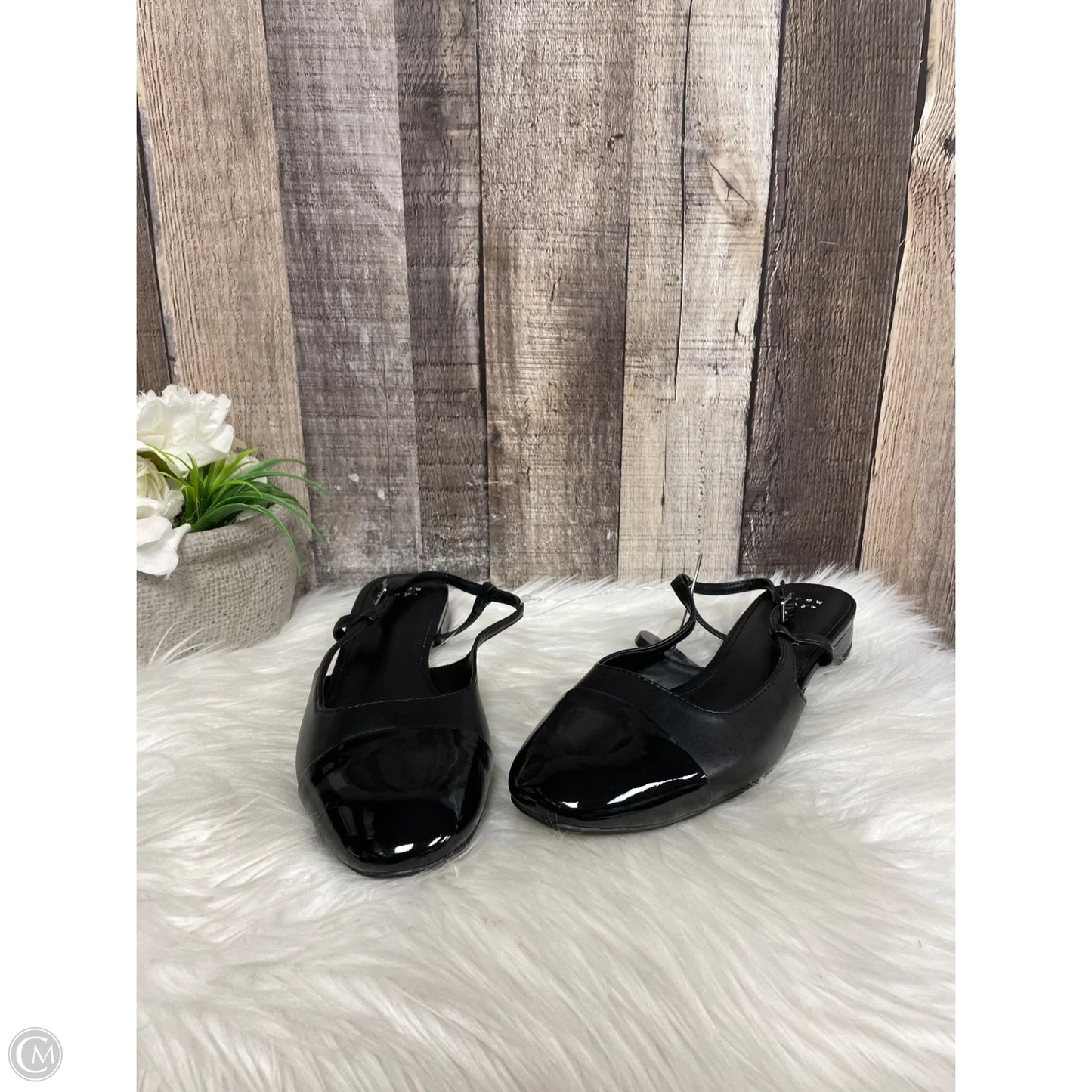 Shoes Flats By A New Day In Black, Size: 7.5