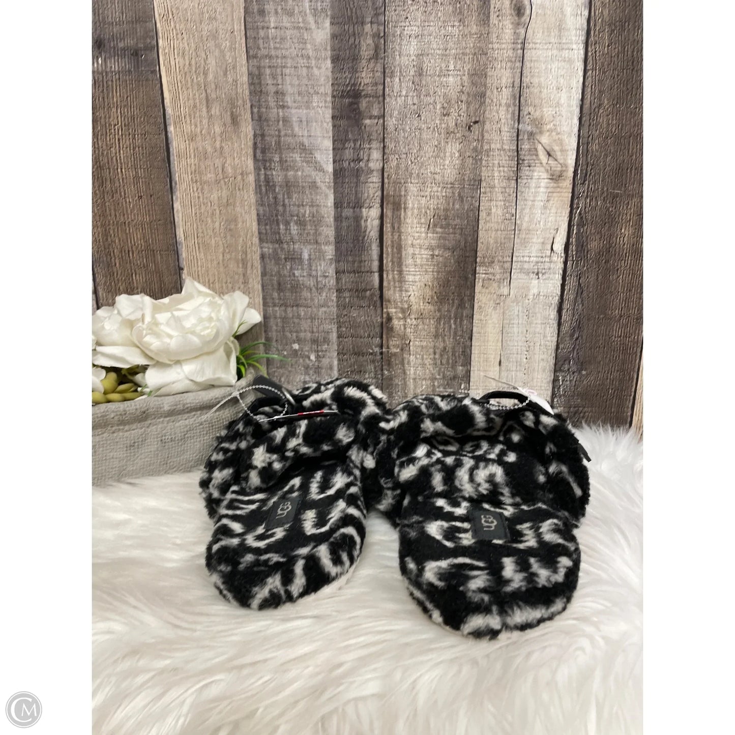 Slippers Designer By Ugg In Black & White, Size: 8
