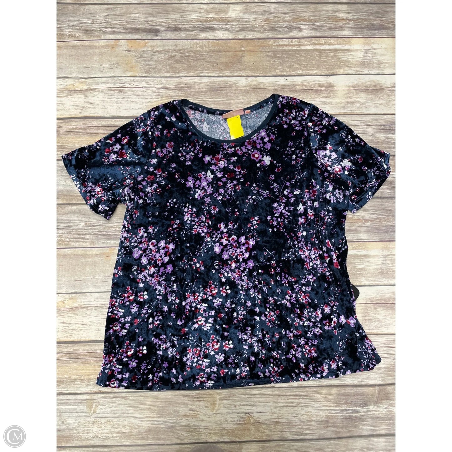 Top Short Sleeve By Evri In Multi-colored, Size: 1x