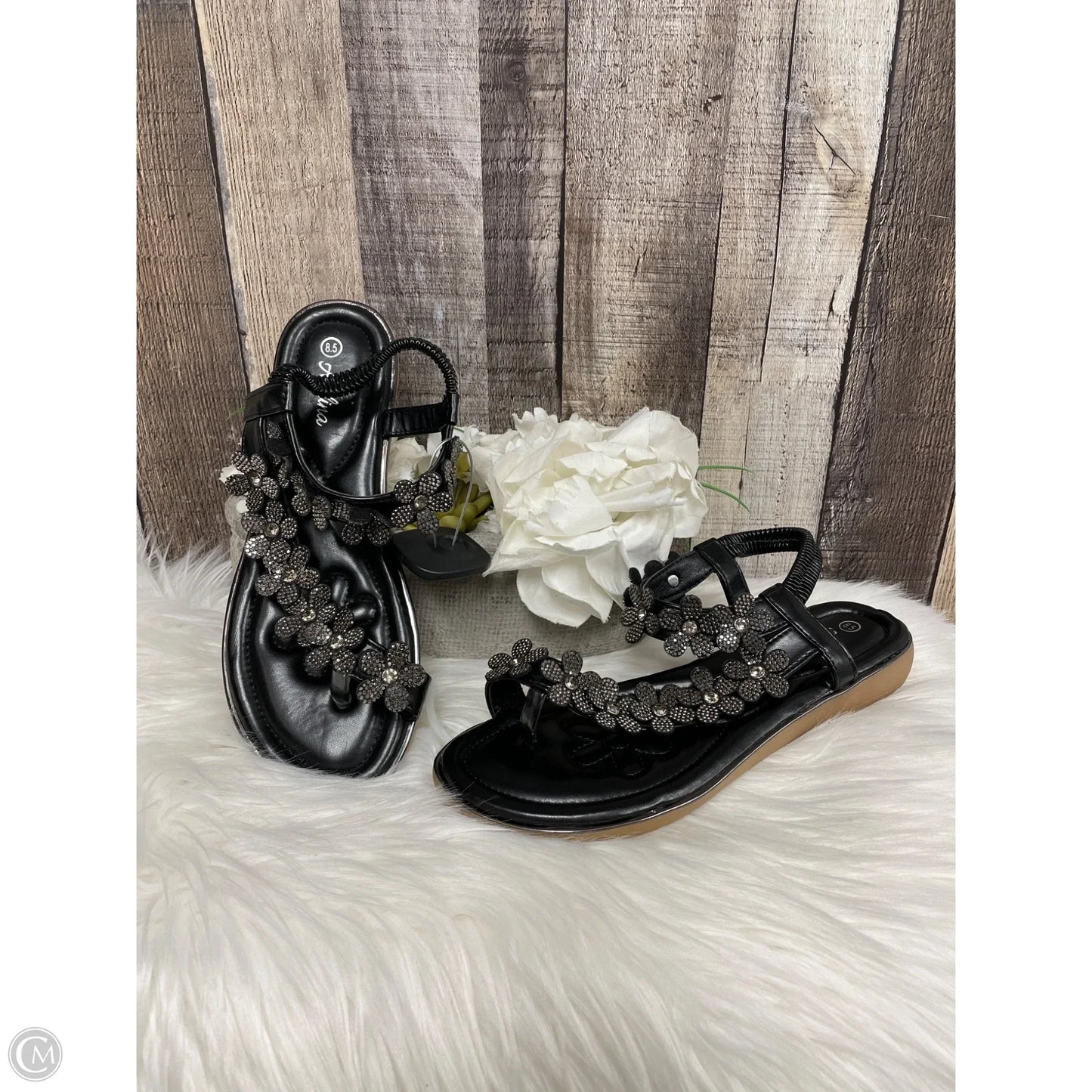 Sandals Flats By Cme In Black, Size: 8.5