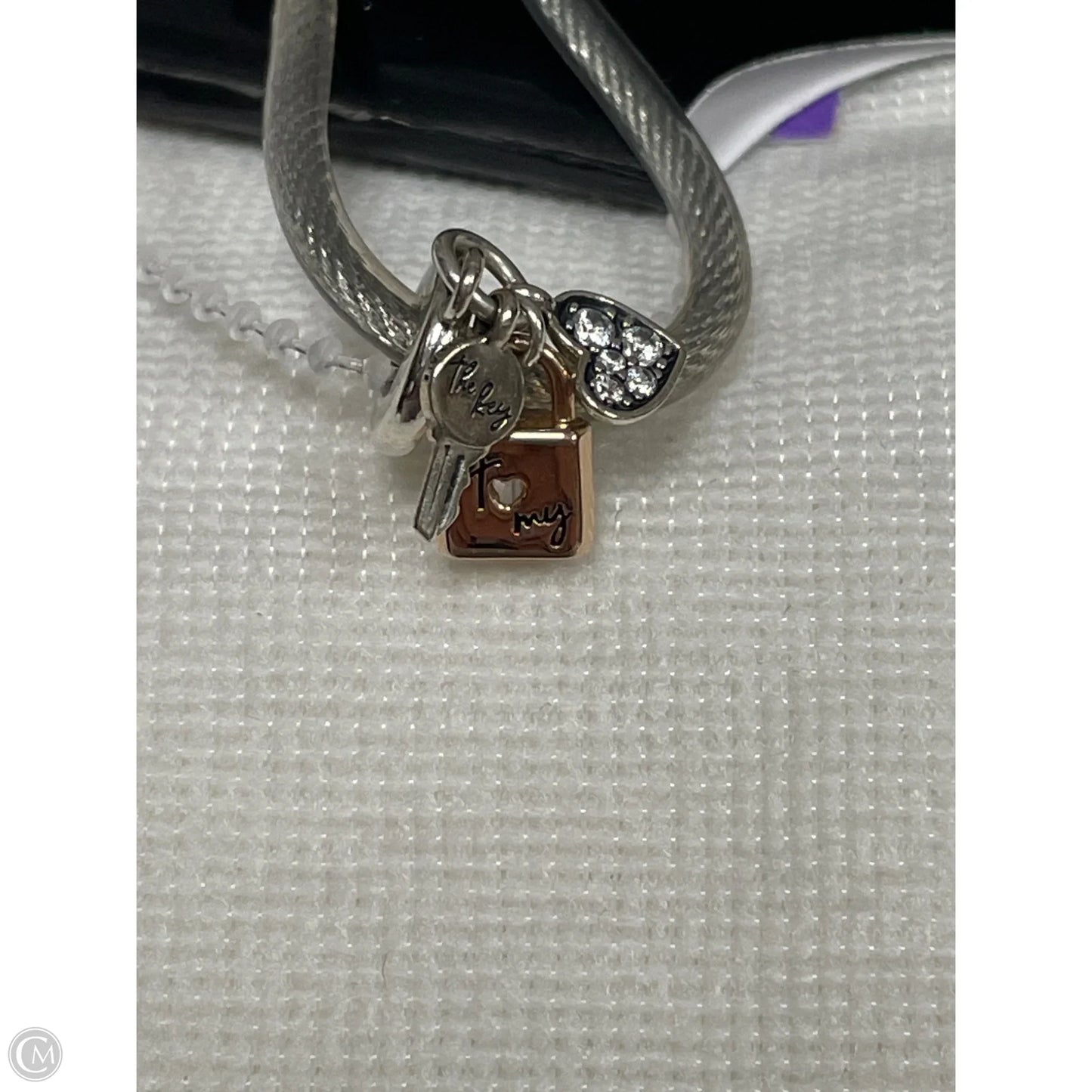 Accessory Tag By Pandora
