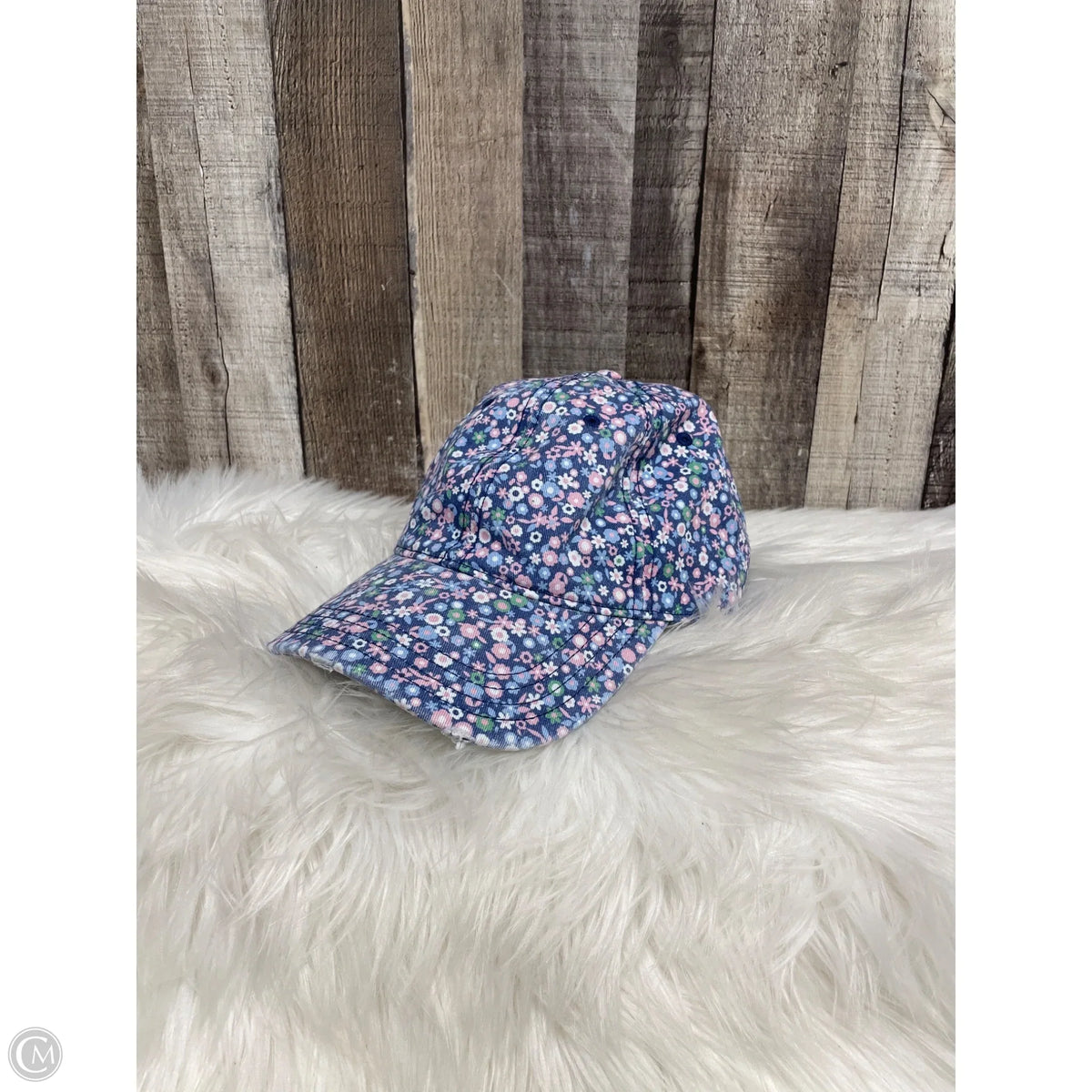 Hat Baseball Cap By Aerie
