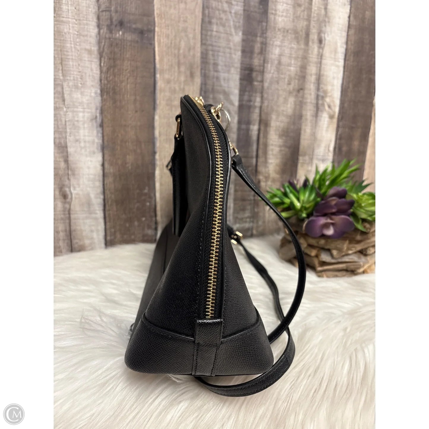 Handbag Designer By Coach, Size: Large