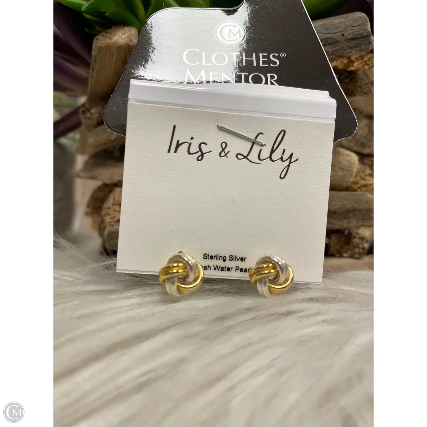 Earrings Stud By Cme