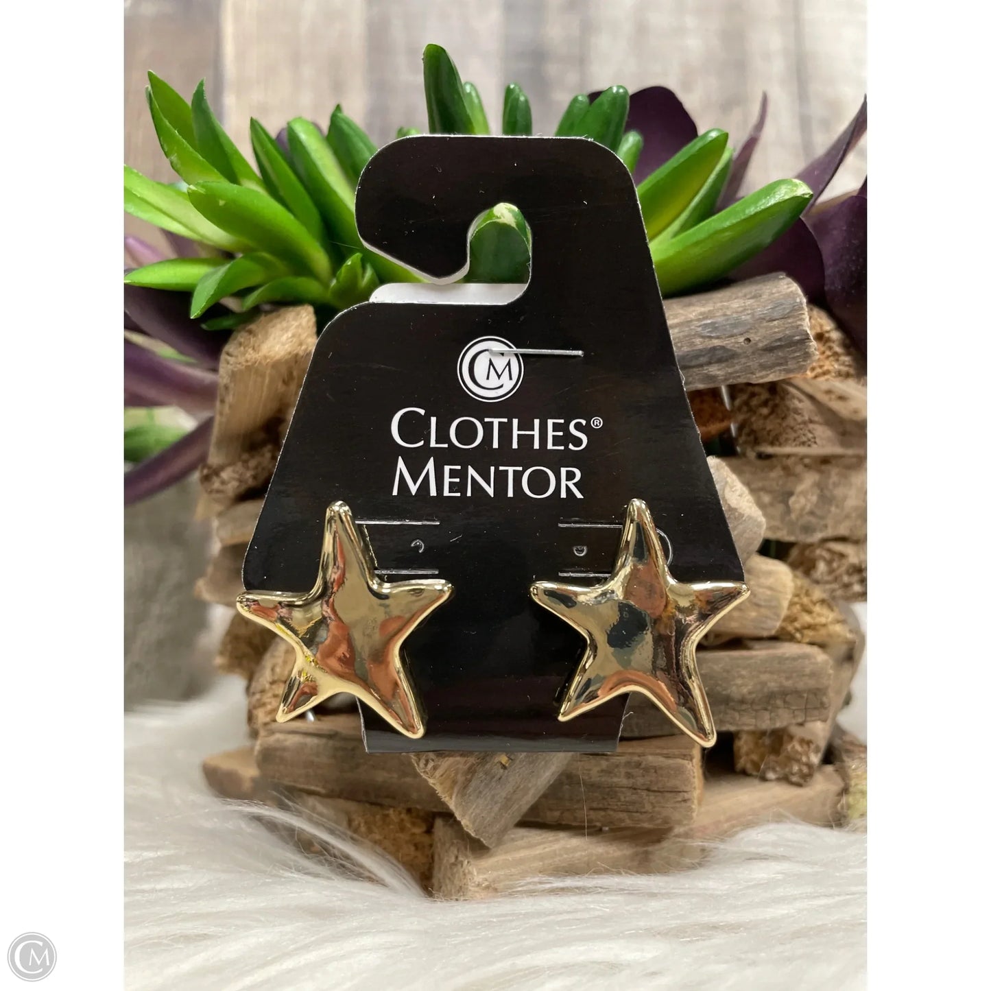 Earrings Other By Cme