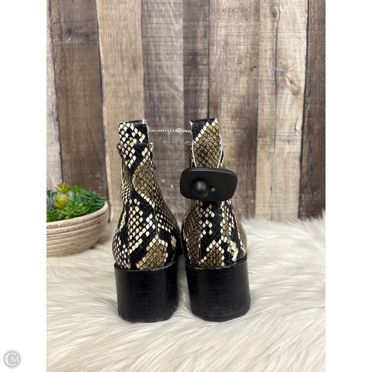 Boots Ankle Heels By Everlane In Snakeskin Print, Size: 7.5