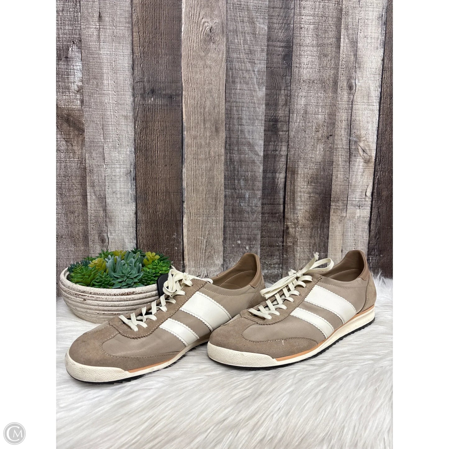 Shoes Athletic By Madden Girl In Brown, Size: 10