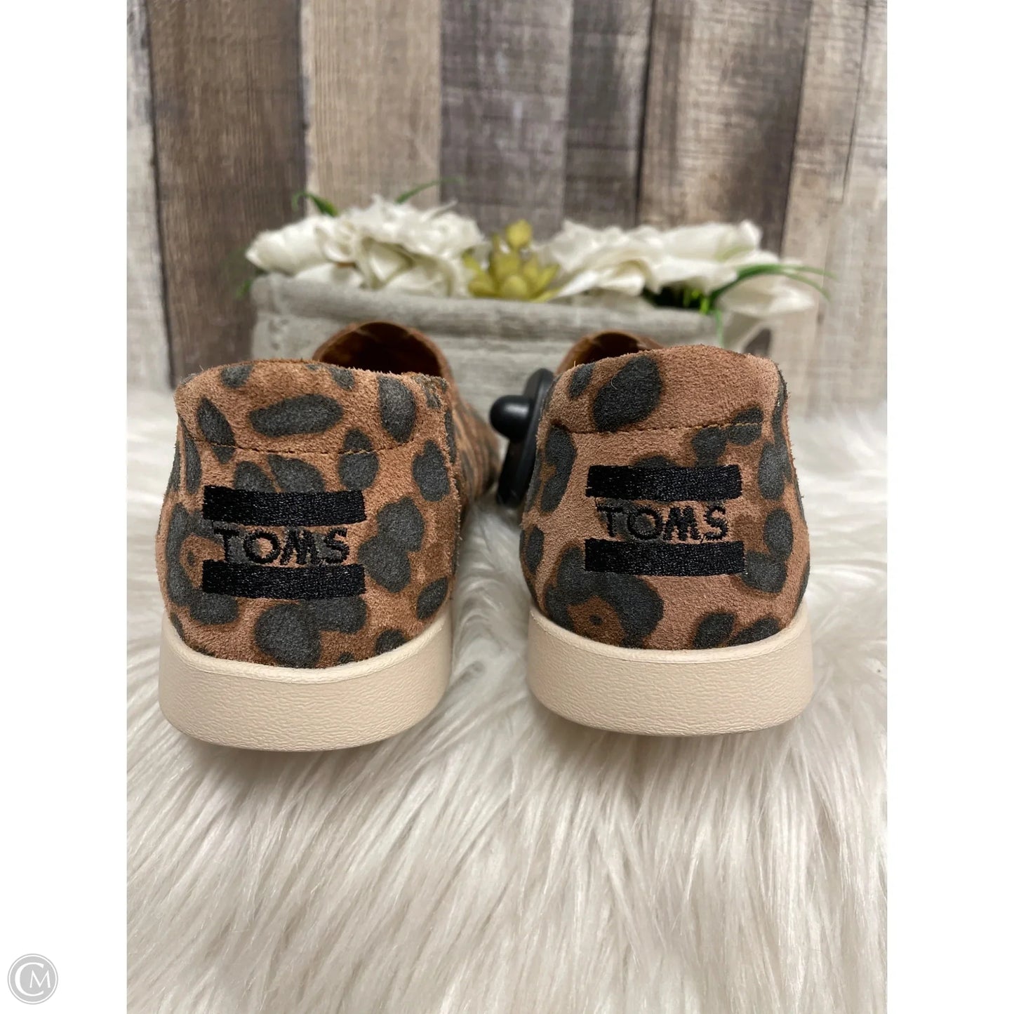 Shoes Flats By Toms In Animal Print, Size: 6.5
