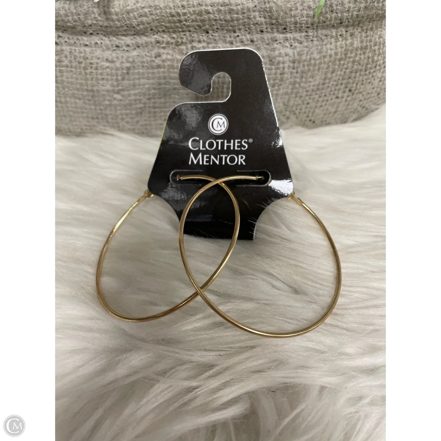 Earrings Hoop By Cme