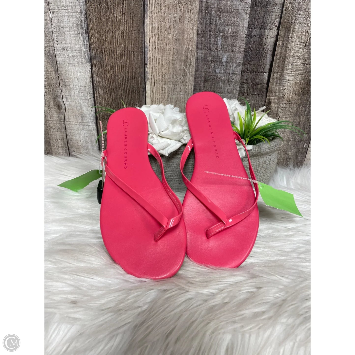 Sandals Flats By Lc Lauren Conrad In Pink, Size: 8
