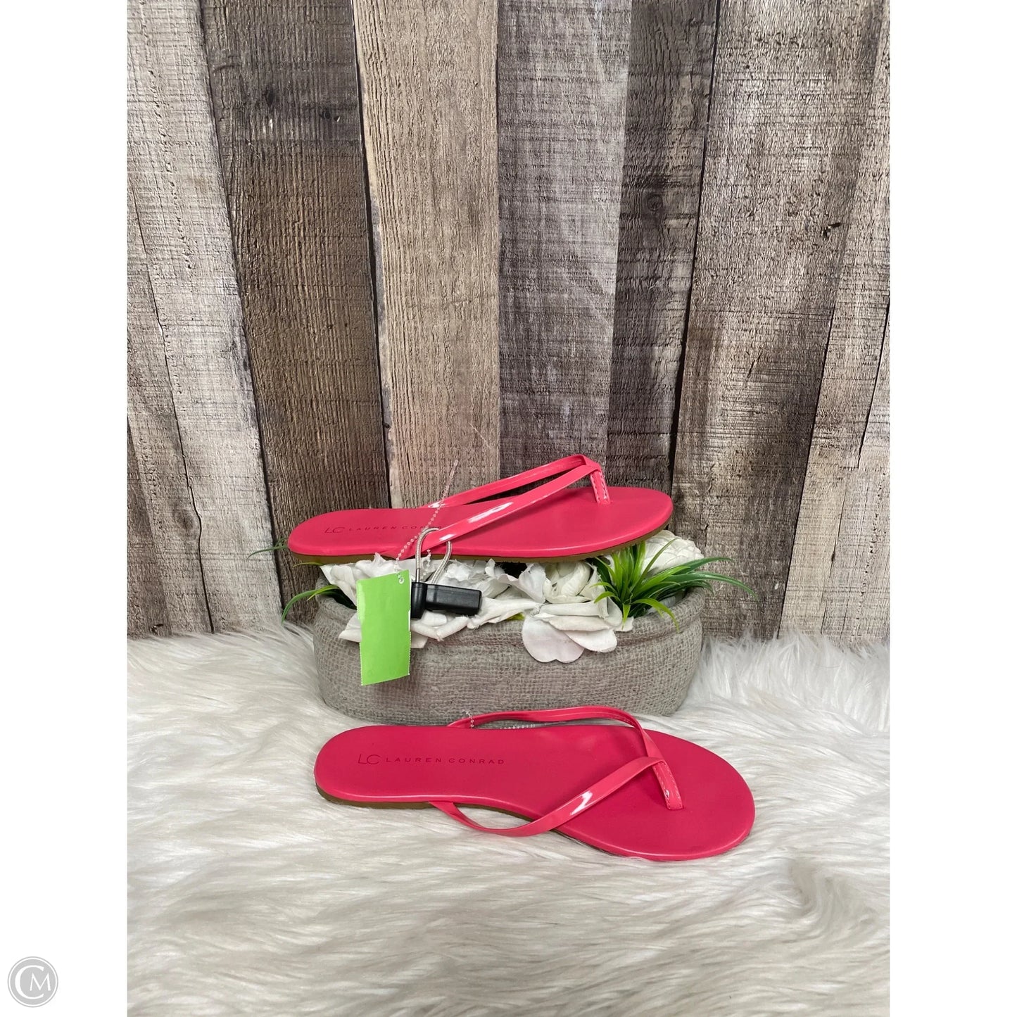 Sandals Flats By Lc Lauren Conrad In Pink, Size: 8