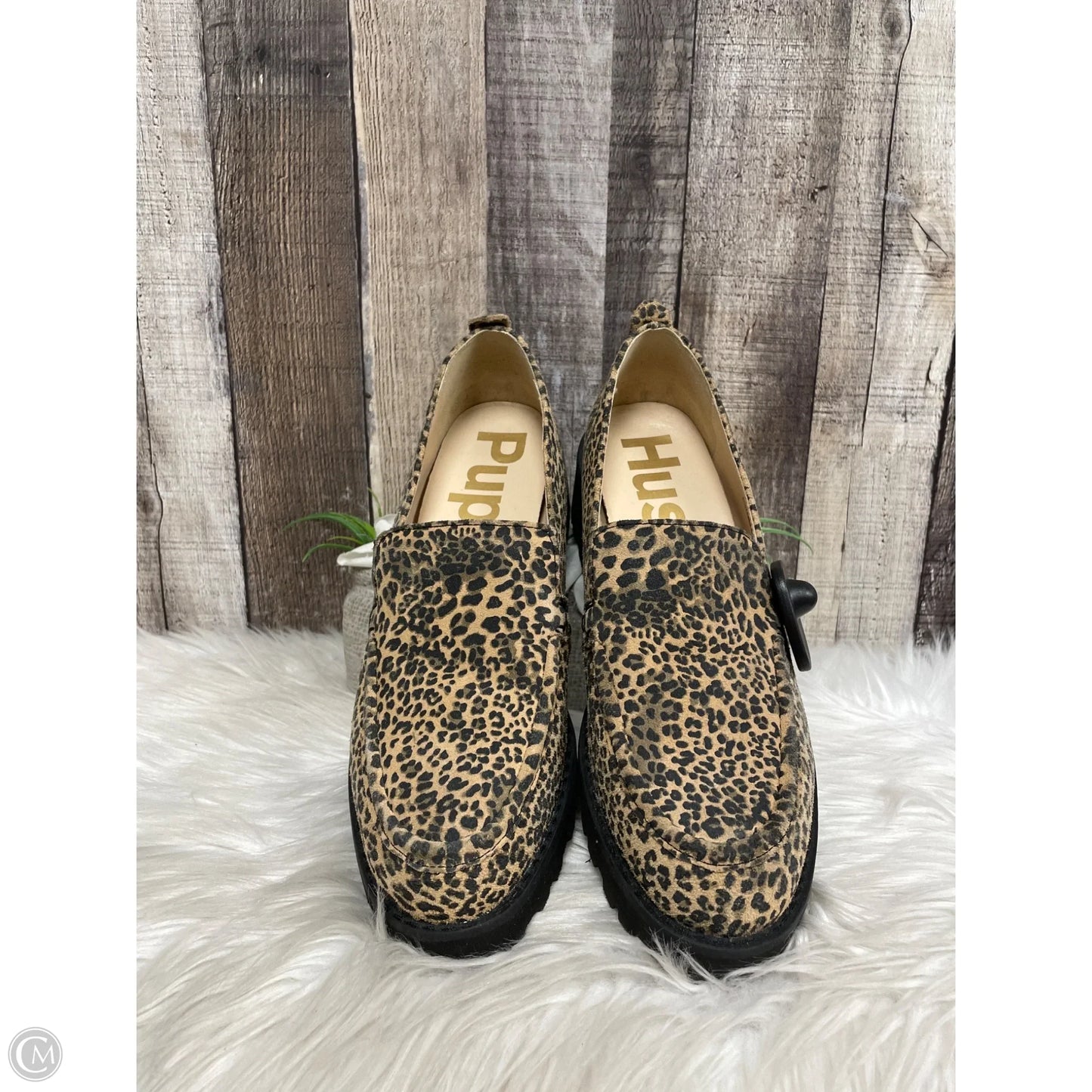 Shoes Heels Wedge By Hush Puppies In Animal Print, Size: 9.5