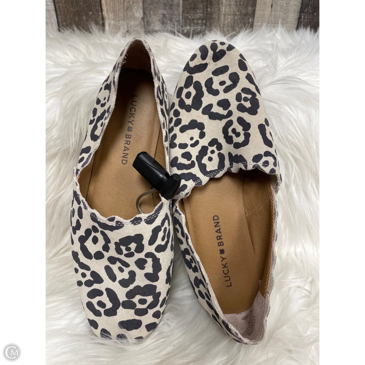 Shoes Flats By Lucky Brand In Animal Print, Size: 7.5