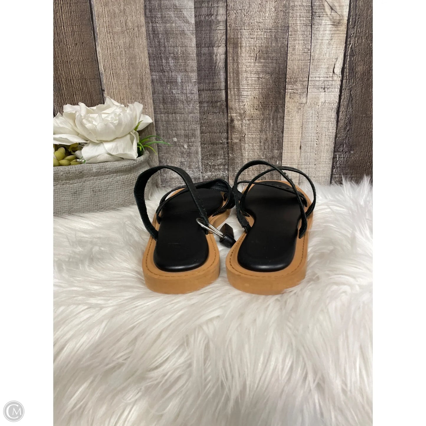 Sandals Designer By Frye In Black, Size: 9