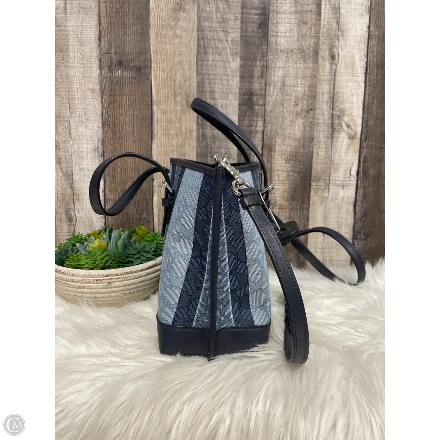 Crossbody Designer By Coach, Size: Medium