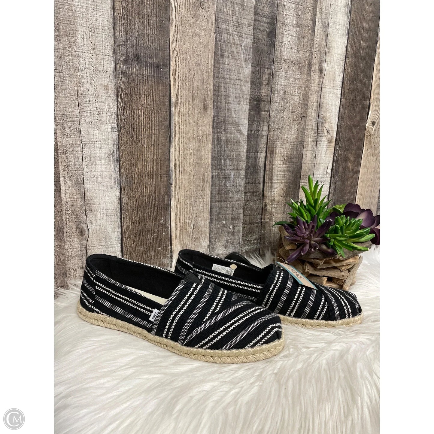 Shoes Flats By Toms In Black, Size: 9.5
