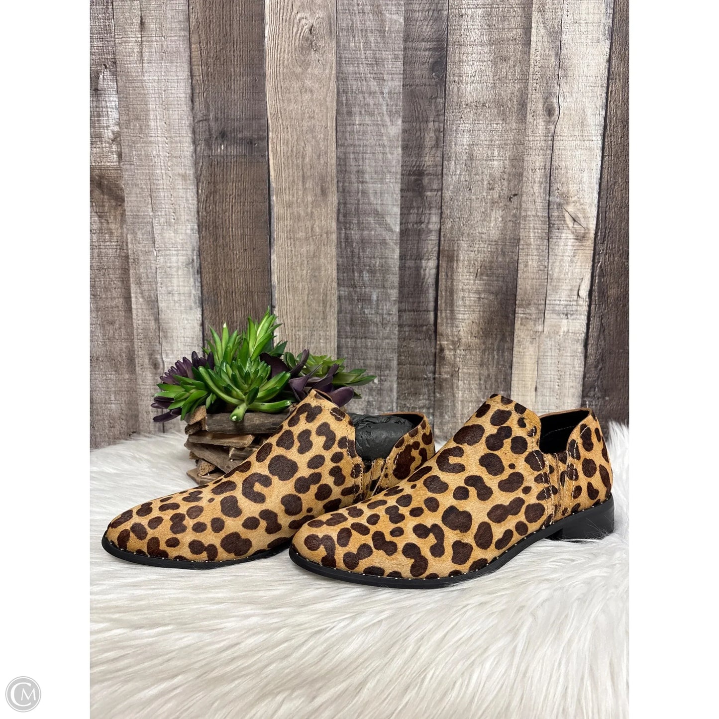 Shoes Heels Block By Steve Madden In Animal Print, Size: 8