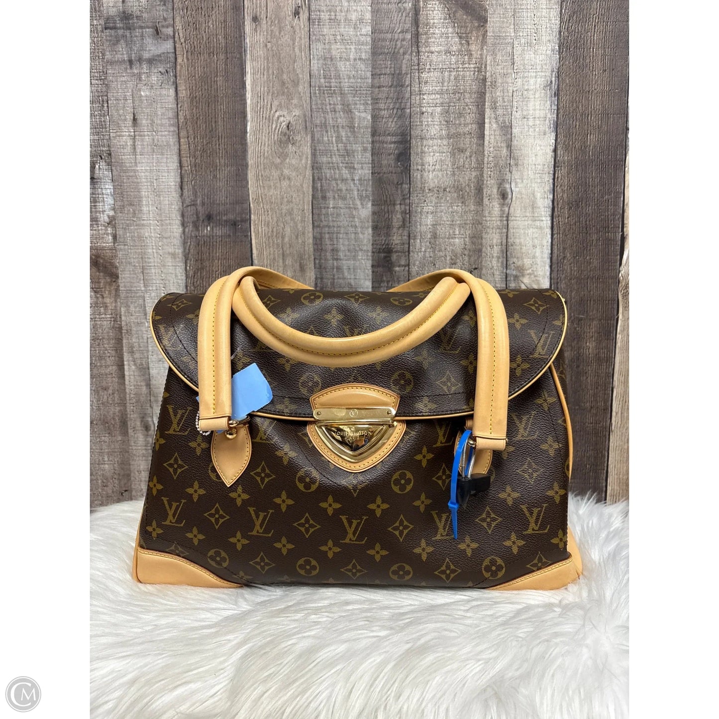 Handbag Luxury Designer By Louis Vuitton, Size: Large