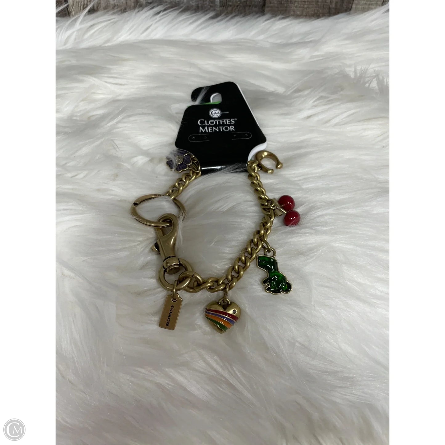 Accessory Designer Tag By Coach