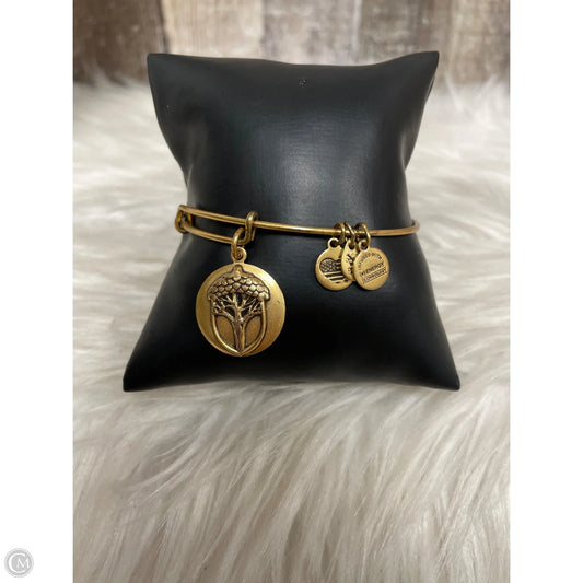 Bracelet Bangle By Alex And Ani
