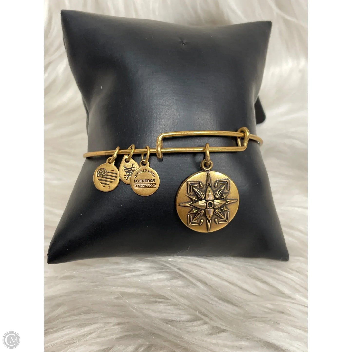 Bracelet Bangle By Alex And Ani