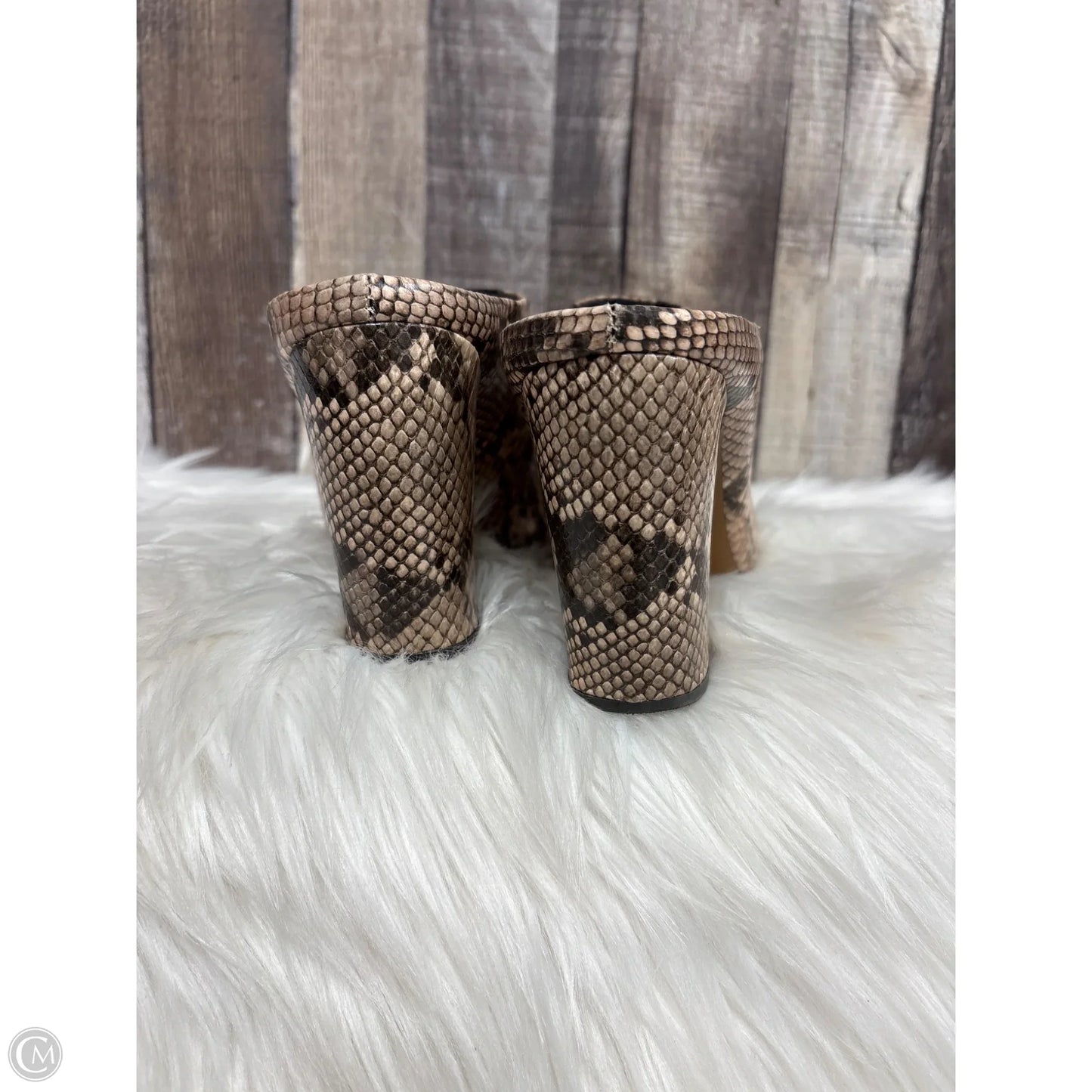 Shoes Heels Block By Steve Madden In Snakeskin Print, Size: 9.5