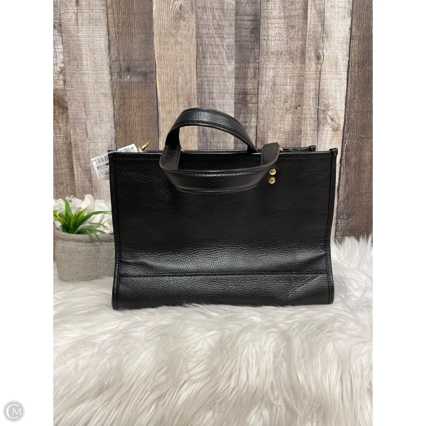 Handbag Designer By Coach, Size: Medium