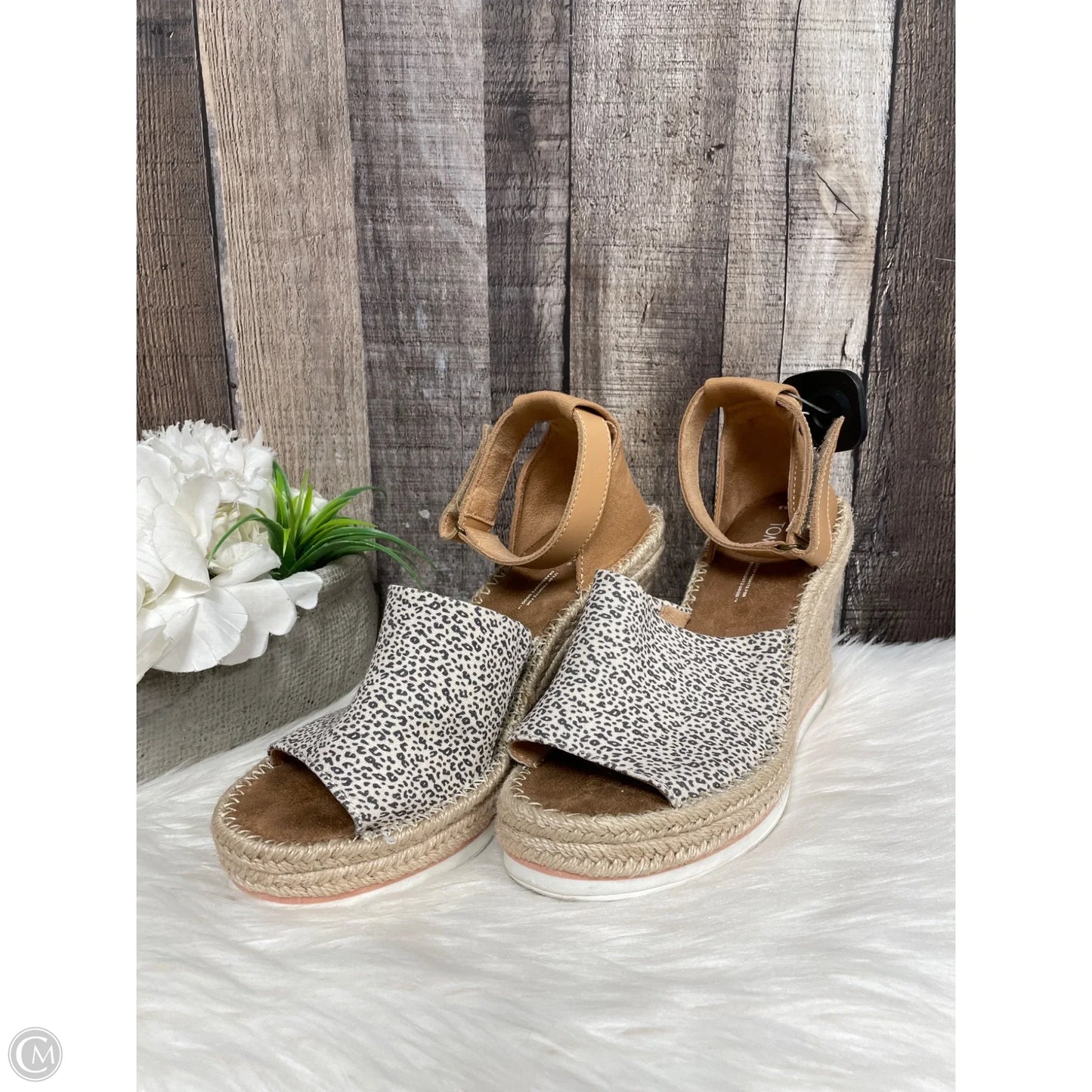Sandals Heels Wedge By Toms In Tan, Size: 8.5