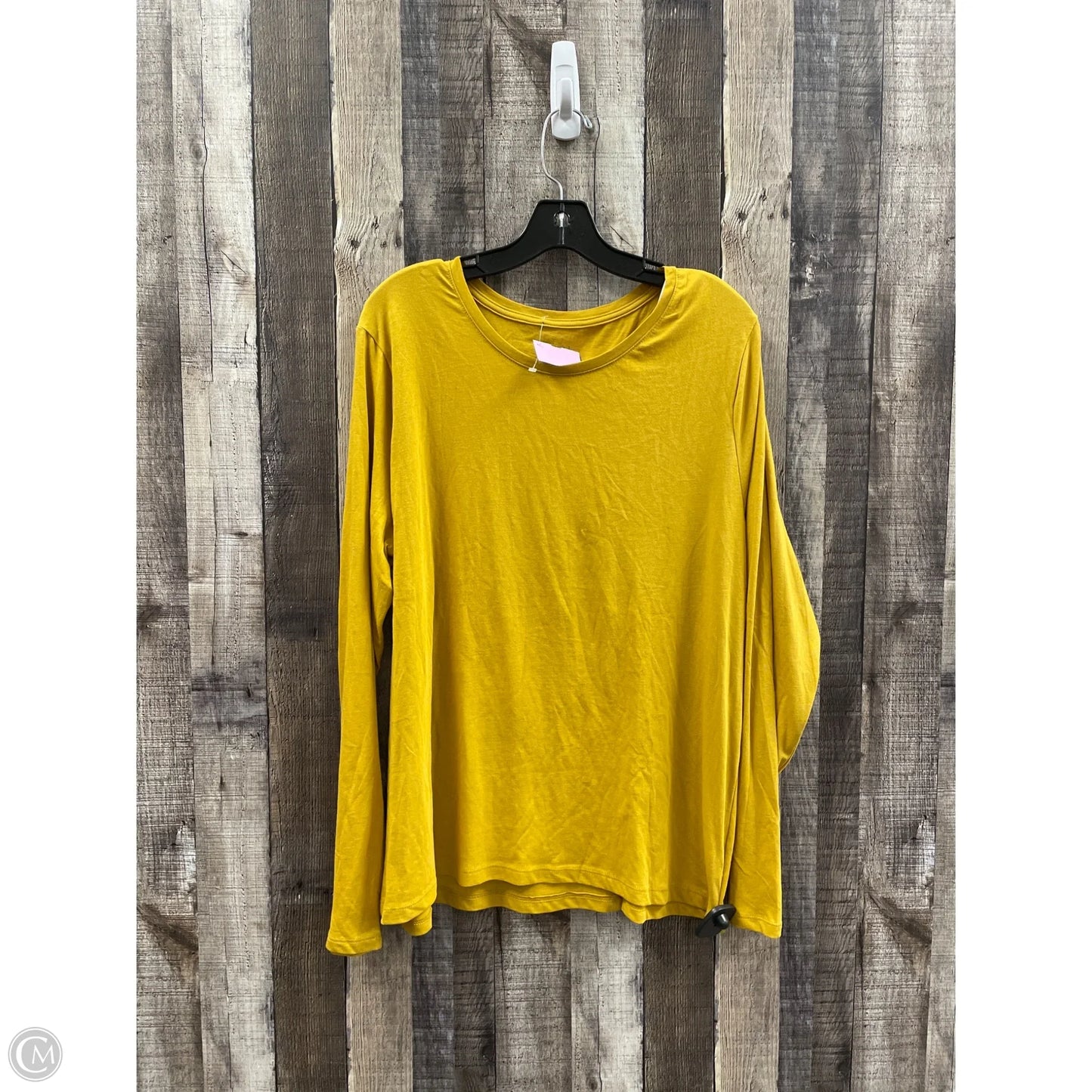 Top Long Sleeve By Time And Tru In Gold, Size: Xxl