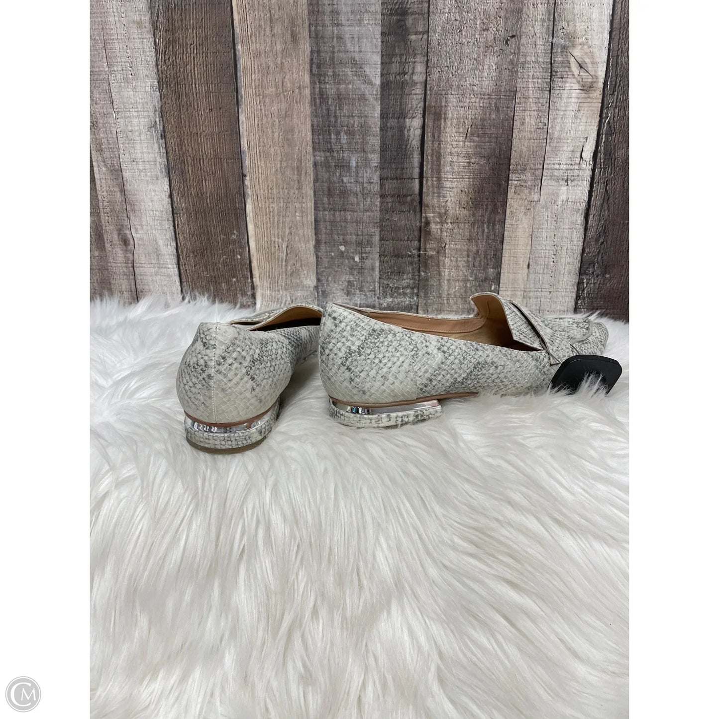 Shoes Flats By Franco Sarto In Snakeskin Print, Size: 10