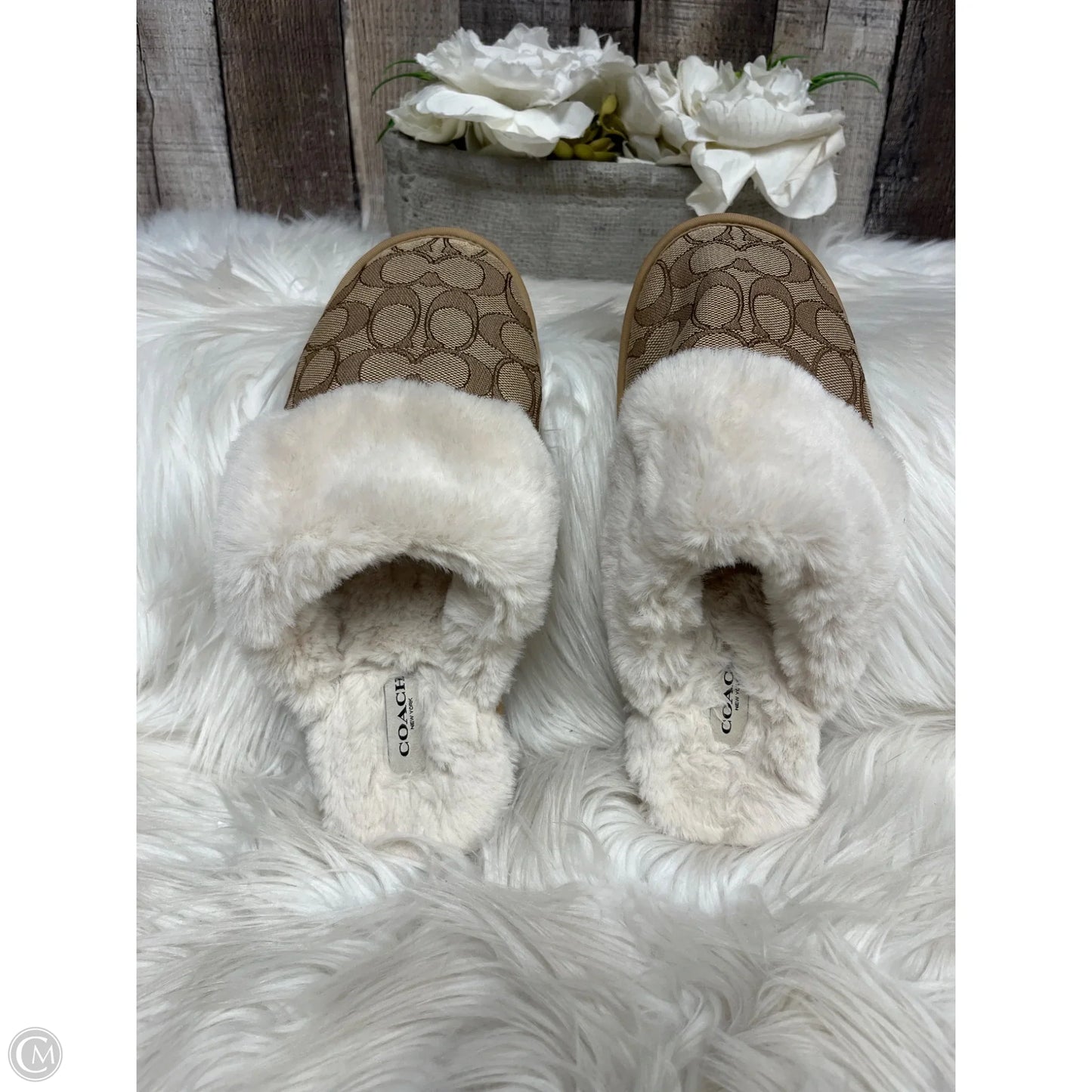 Slippers Designer By Coach In Brown