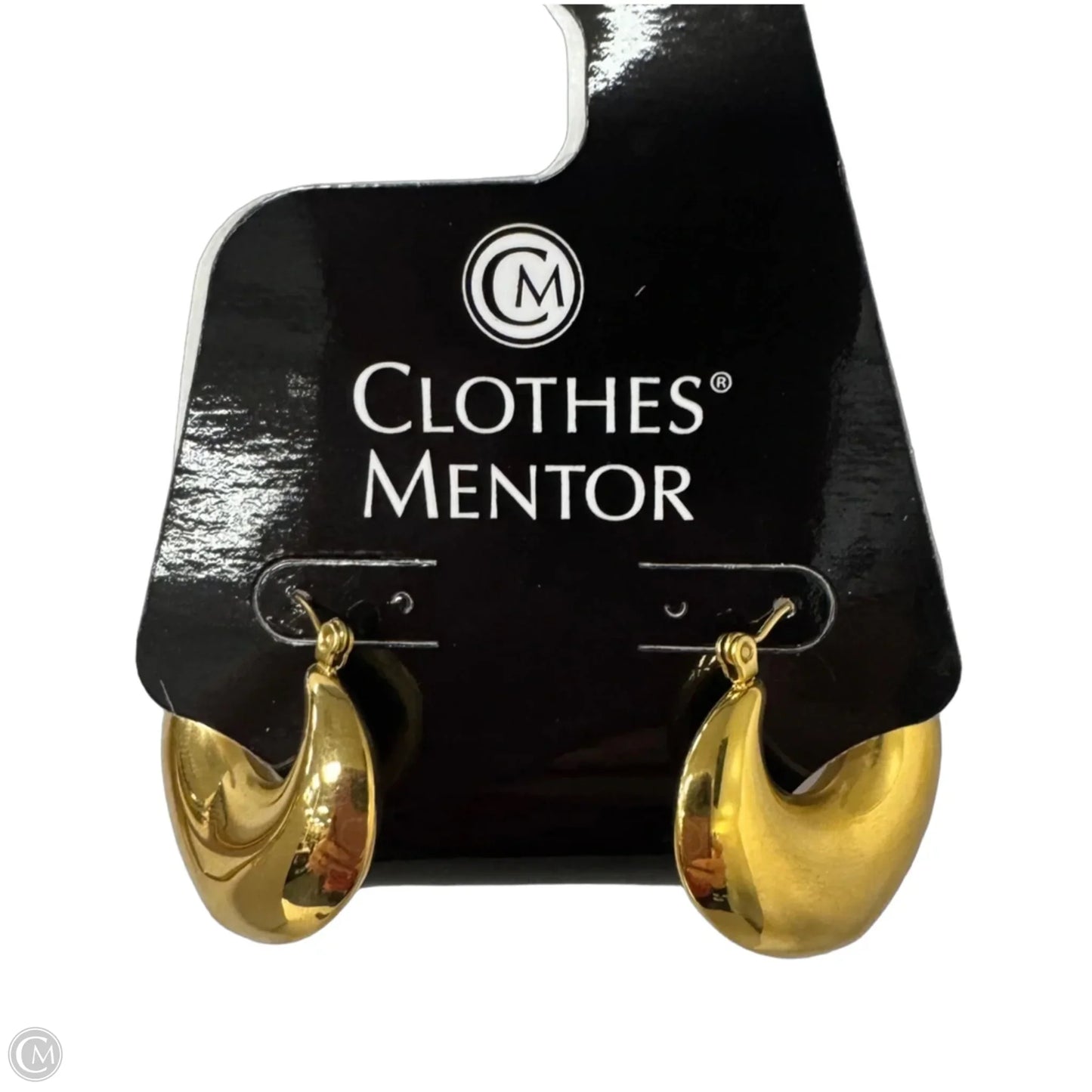 Earrings Hoop By Clothes Mentor