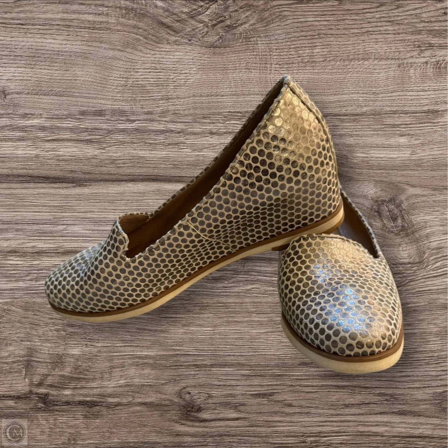 Shoes Heels Wedge By Venezia In Polkadot Pattern, Size: 7.5