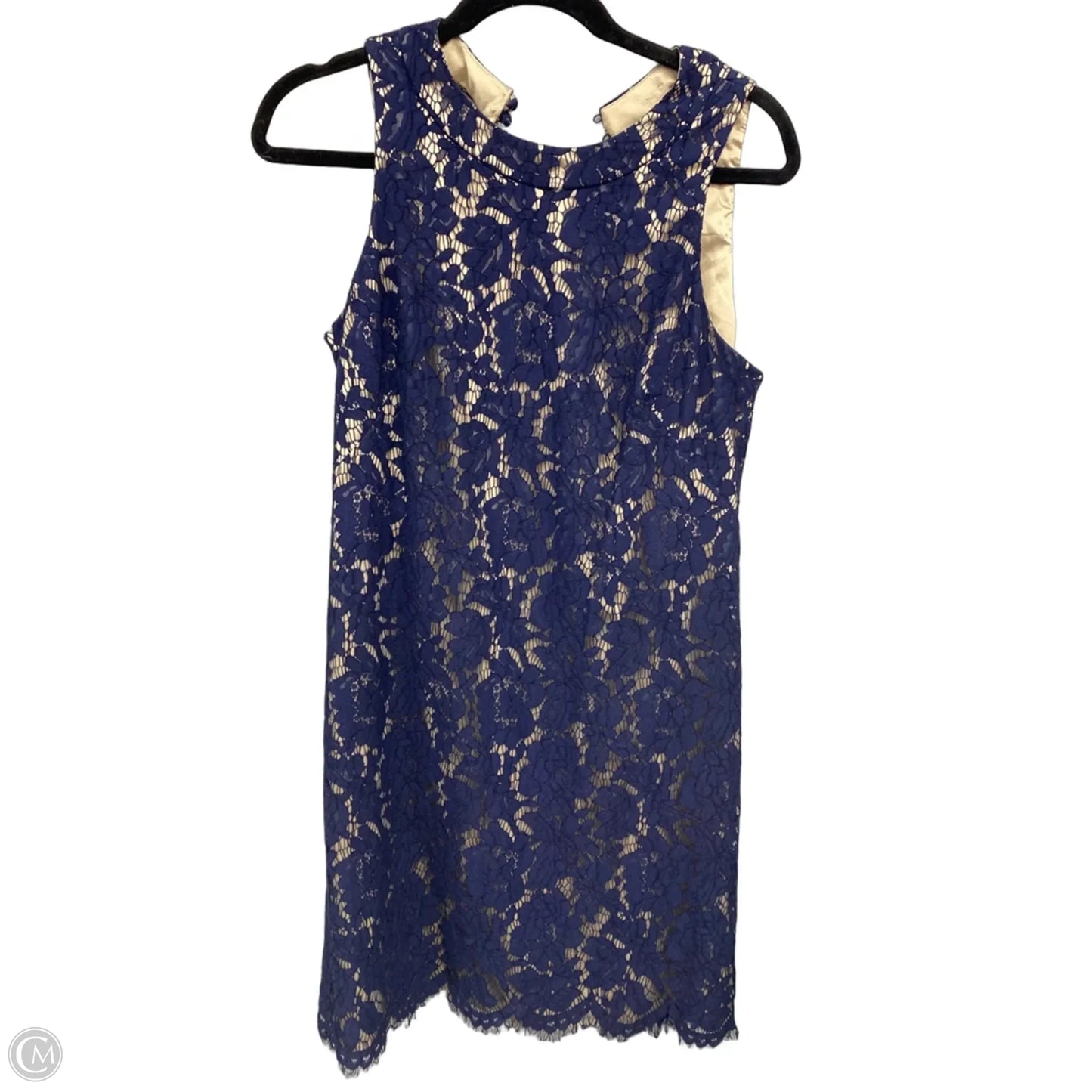 Dress Casual Short By Vince Camuto In Blue & Cream, Size: 8