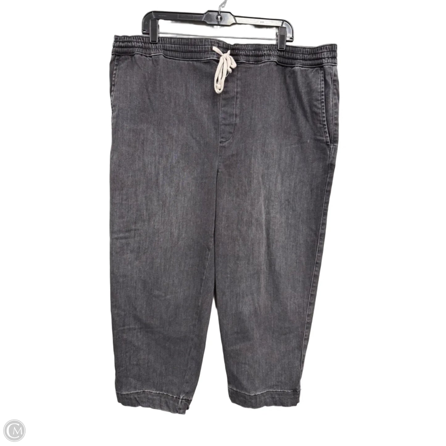Pants Other By Free Assembly In Grey, Size: 3x