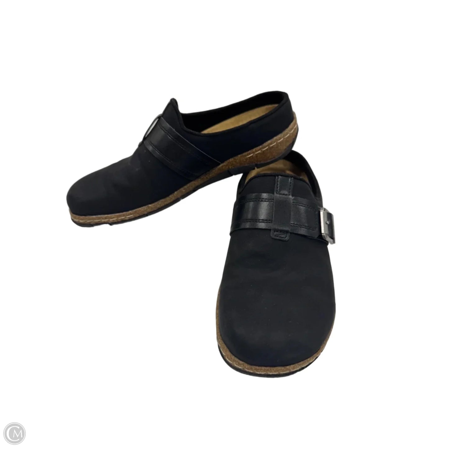 Shoes Flats By Earth In Black, Size: 6.5