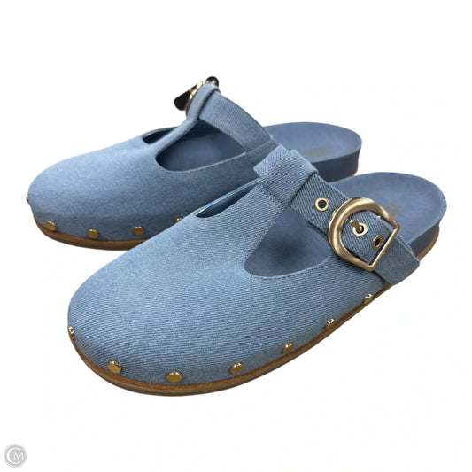 Shoes Flats By Chelsea And Violet In Blue & Gold, Size: 10