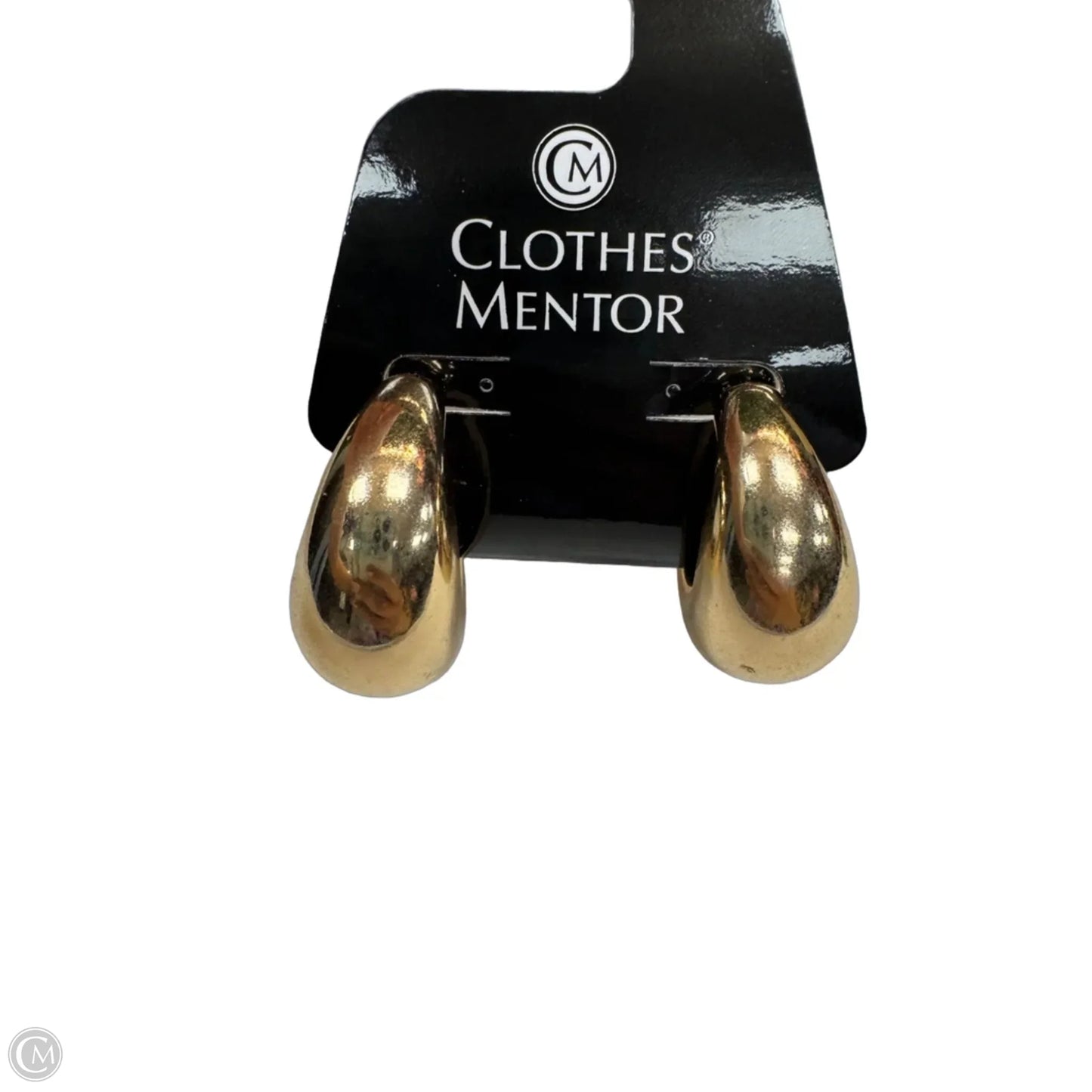 Earrings Hoop By Clothes Mentor