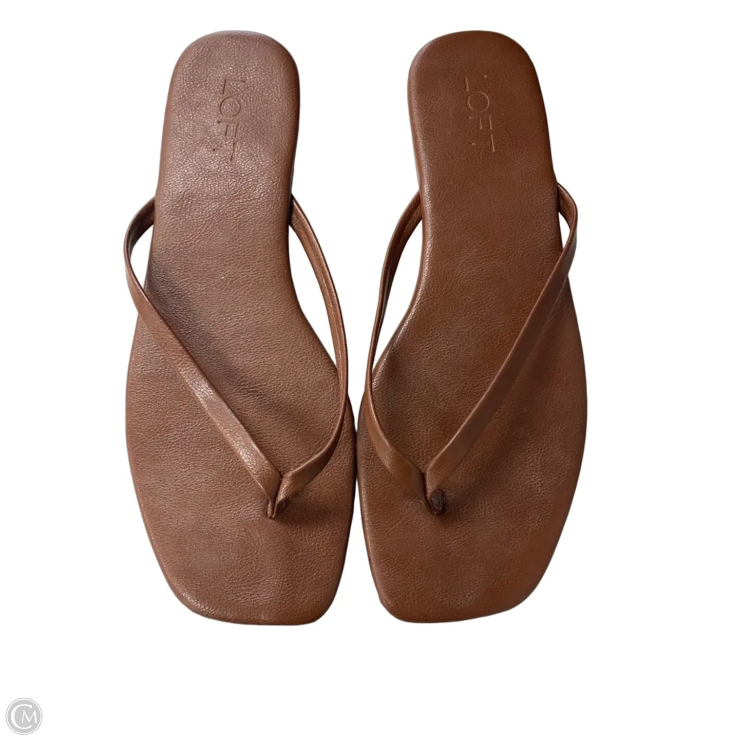 Shoes Flats By Loft In Brown, Size: 10
