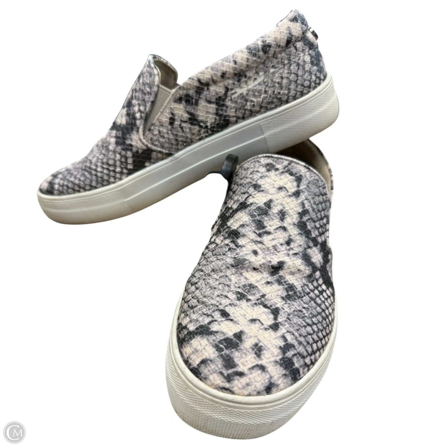 Shoes Flats By Steve Madden In Snakeskin Print, Size: 8