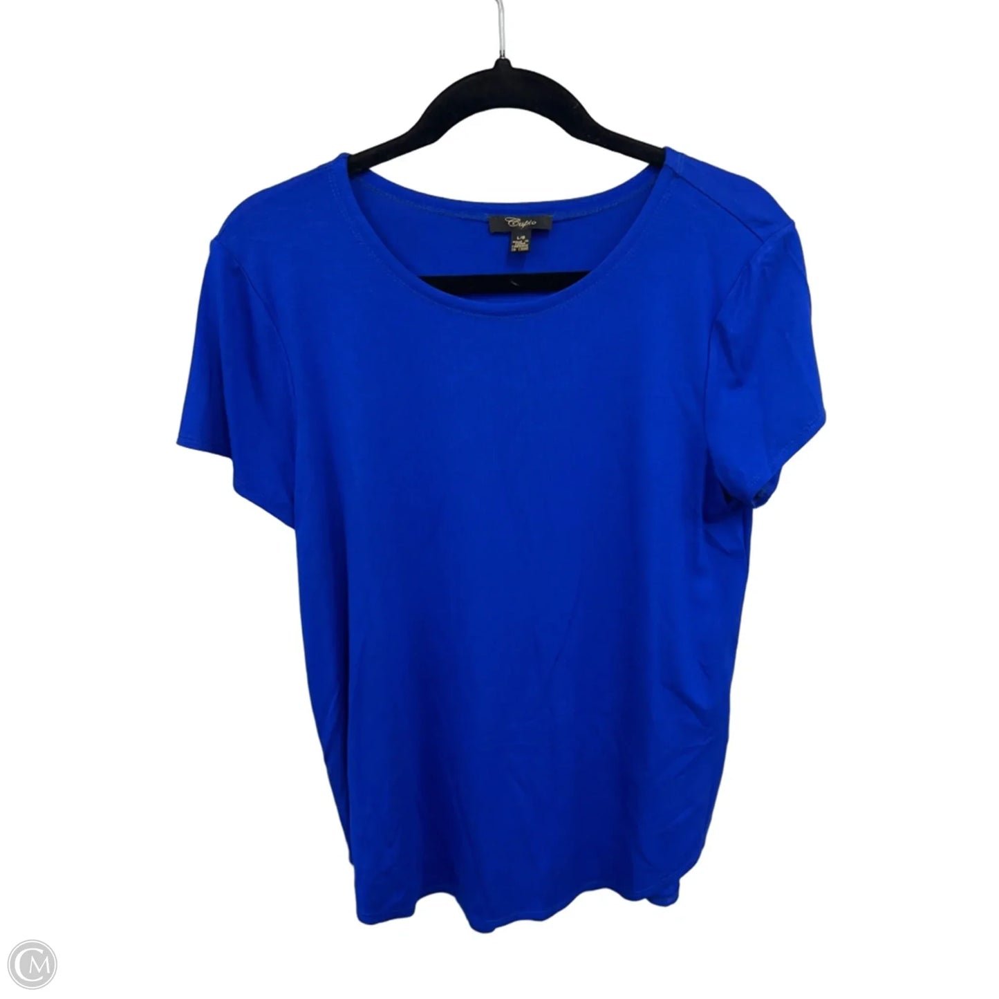Top Short Sleeve By Cupio In Blue, Size: L