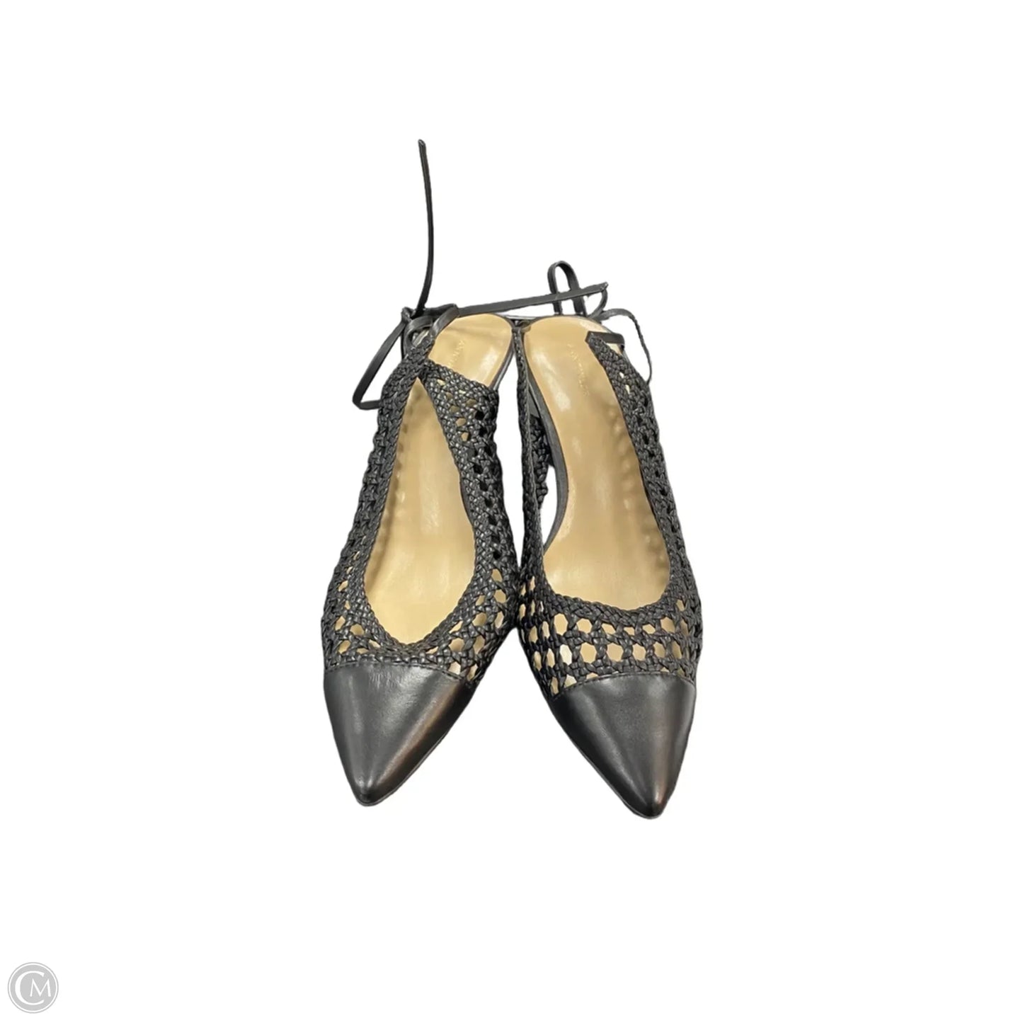 Shoes Heels Kitten By Ann Taylor In Black, Size: 9.5