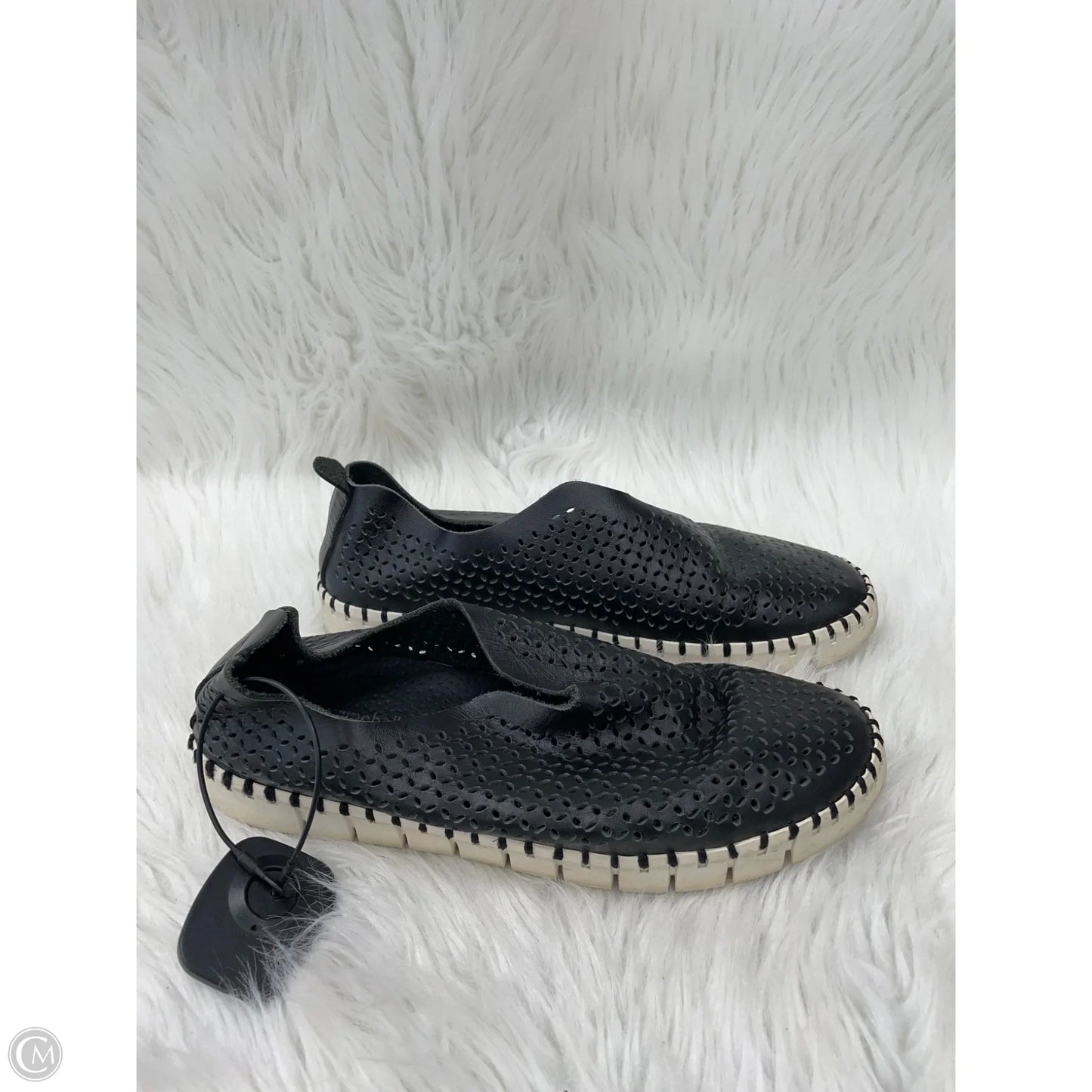 Shoes Sneakers By Jeffery Campbell In Black & Cream, Size: 7.5