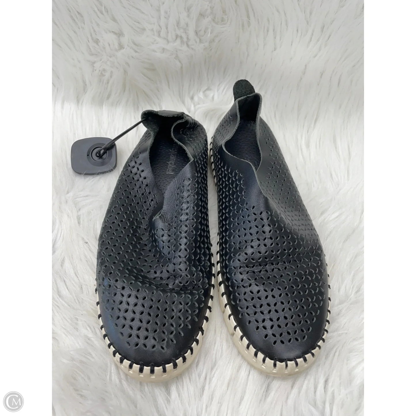 Shoes Sneakers By Jeffery Campbell In Black & Cream, Size: 7.5