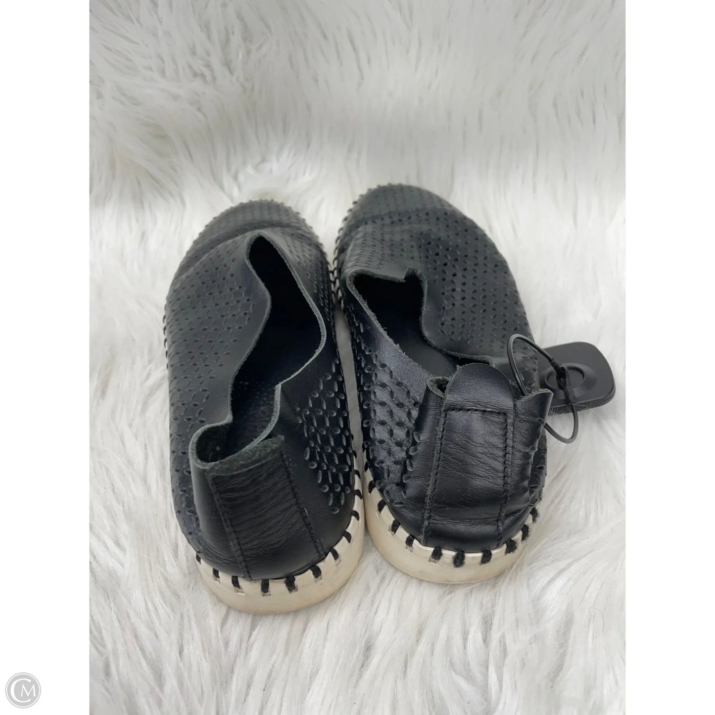 Shoes Sneakers By Jeffery Campbell In Black & Cream, Size: 7.5