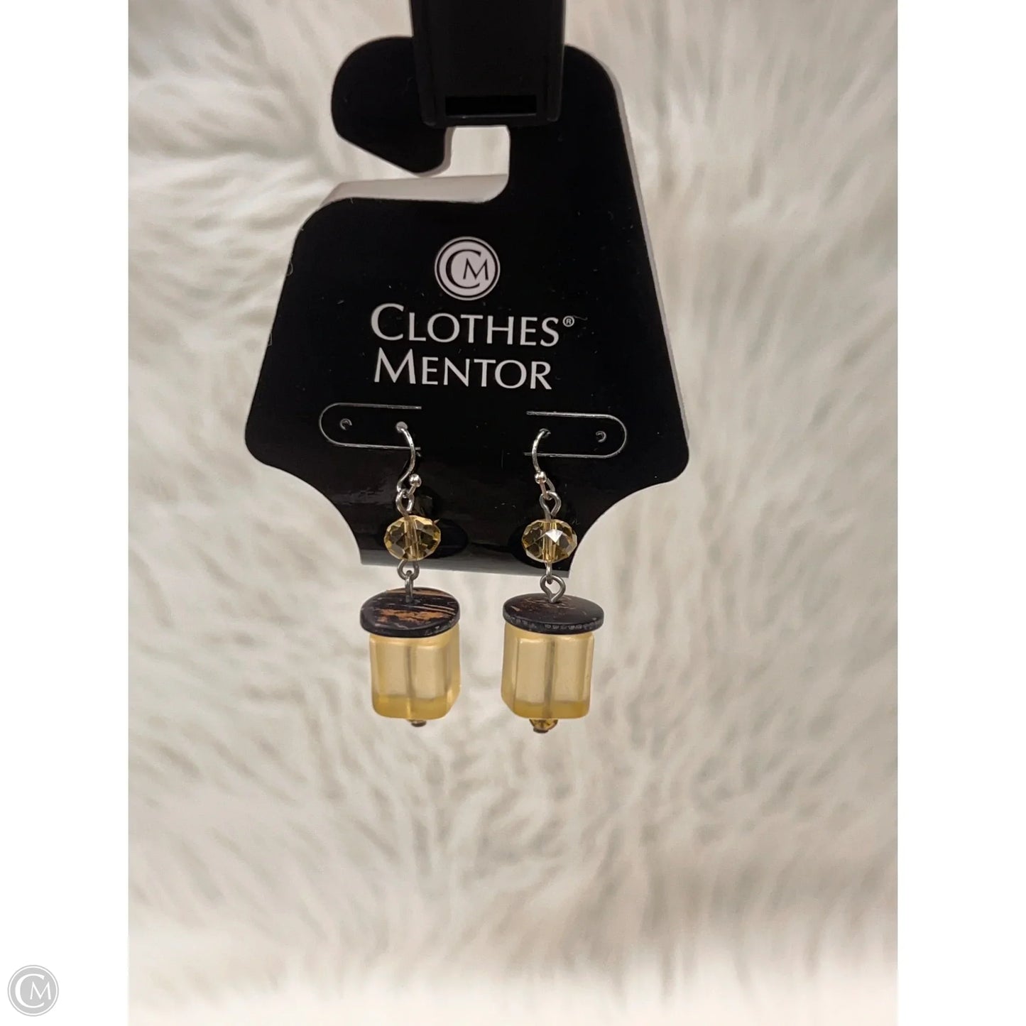 Earrings Dangle/drop By Clothes Mentor