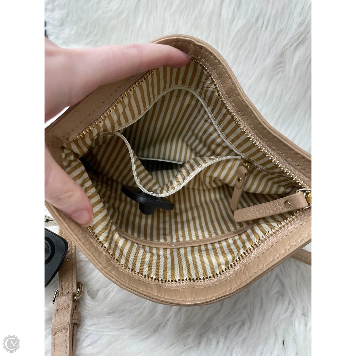 Crossbody Designer By Kate Spade, Size: Medium